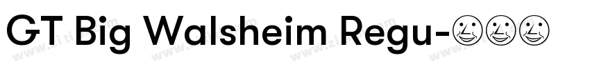 GT Big Walsheim Regu字体转换